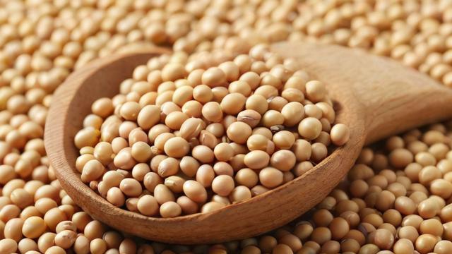 为什么黄豆比豆粕贵-第2张图片-ECN交易平台排行榜 为什么黄豆比豆粕贵-第2张图片-ECN交易平台排行榜