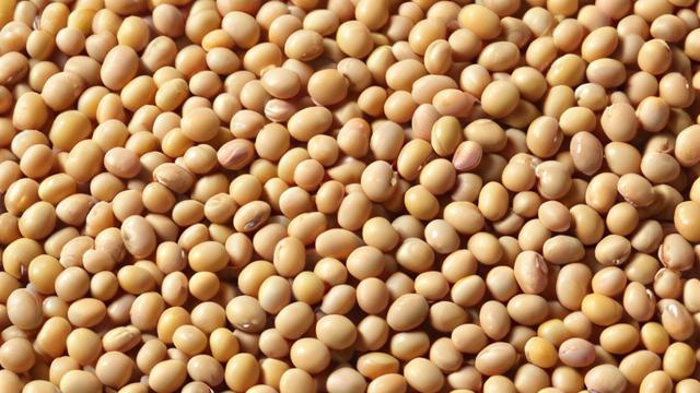 CBOT大豆是什么意思？-第3张图片-ECN交易平台排行榜