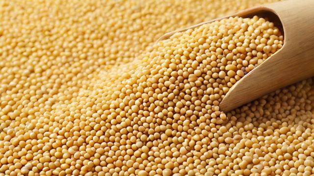 豆粕作用是什么?它在农业、养殖业等领域有哪些具体用途和价值呢?-第2张图片-ECN交易平台排行榜 豆粕作用是什么?它在农业、养殖业等领域有哪些具体用途和价值呢?-第2张图片-ECN交易平台排行榜