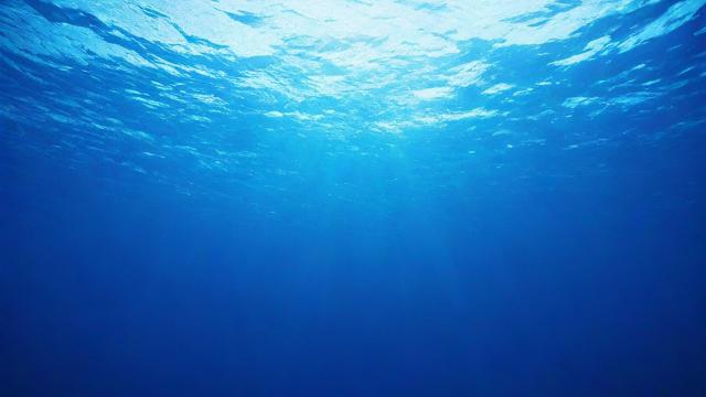 海洋究竟包含了哪些元素和生物?-第2张图片-ECN交易平台排行榜 海洋究竟包含了哪些元素和生物?-第2张图片-ECN交易平台排行榜