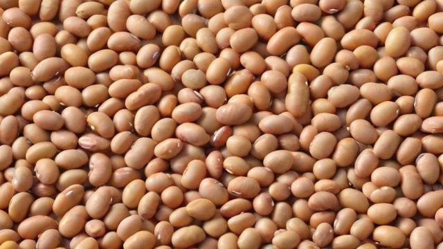 近期大豆价格走势如何？-第1张图片-ECN交易平台排行榜