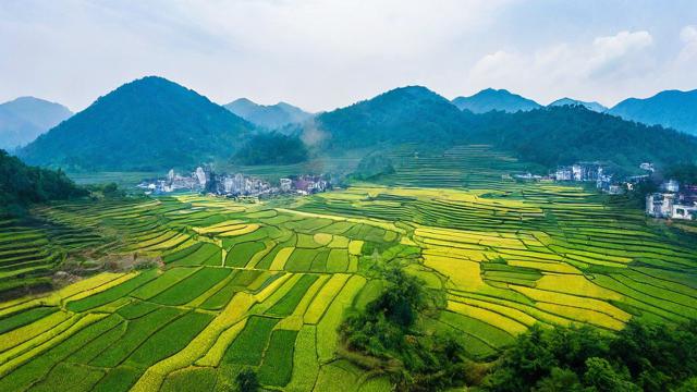 生源地贷款什么意思(生源地贷款什么意思?)-第2张图片-ECN交易平台排行榜 生源地贷款什么意思(生源地贷款什么意思?)-第2张图片-ECN交易平台排行榜