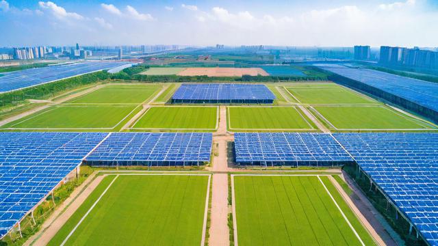 什么是‘生源’?一文带你深入了解!-第1张图片-ECN交易平台排行榜 什么是‘生源’?一文带你深入了解!-第1张图片-ECN交易平台排行榜