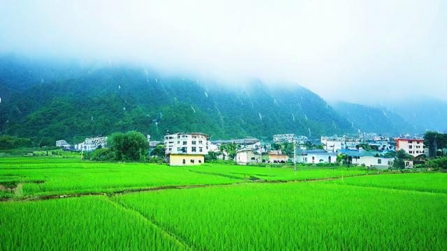 久旱逢甘霖这个成语究竟是什么意思?-第3张图片-ECN交易平台排行榜 久旱逢甘霖这个成语究竟是什么意思?-第3张图片-ECN交易平台排行榜