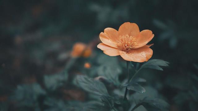 什么才是硬道理?——探索成功与实力的真正标准-第2张图片-ECN交易平台排行榜 什么才是硬道理?——探索成功与实力的真正标准-第2张图片-ECN交易平台排行榜