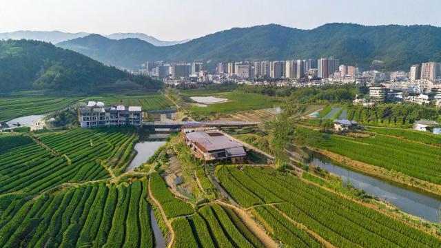 五谷丰登背后,农业技术与自然条件如何协同?,五谷丰登之际,粮食储存运输有哪些要点?,五谷丰登时,传统与现代农具使用差异在哪?-第1张图片-ECN交易平台排行榜 五谷丰登背后,农业技术与自然条件如何协同?,五谷丰登之际,粮食储存运输有哪些要点?,五谷丰登时,传统与现代农具使用差异在哪?-第1张图片-ECN交易平台排行榜
