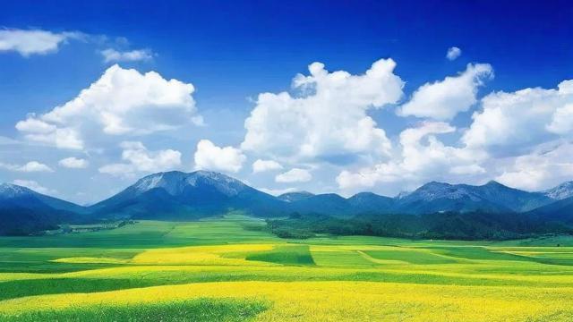 不动如山是什么意思,不动如山这个成语究竟意味着什么?-第3张图片-ECN交易平台排行榜 不动如山是什么意思,不动如山这个成语究竟意味着什么?-第3张图片-ECN交易平台排行榜