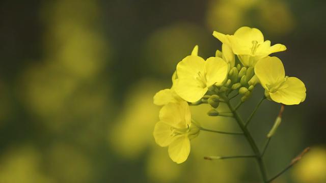 459是什么意思(13459是什么意思)-第2张图片-ECN交易平台排行榜 459是什么意思(13459是什么意思)-第2张图片-ECN交易平台排行榜