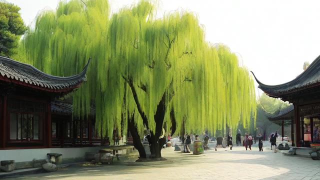 柳树的构造特点是什么？-第3张图片-ECN交易平台排行榜