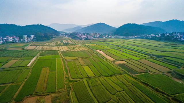 农垦局究竟是一个怎样的组织机构?-第3张图片-ECN交易平台排行榜 农垦局究竟是一个怎样的组织机构?-第3张图片-ECN交易平台排行榜