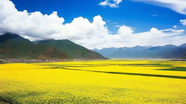 黄在中国文化中通常代表什么意义?-第1张图片-ECN交易平台排行榜 黄在中国文化中通常代表什么意义?-第1张图片-ECN交易平台排行榜