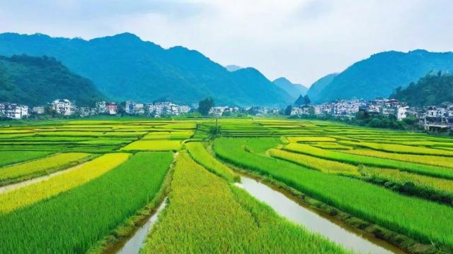 肥水不流外人田究竟是什么意思呢？-第2张图片-ECN交易平台排行榜