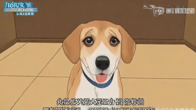 999是什么梗-第2张图片-ECN交易平台排行榜 999是什么梗-第2张图片-ECN交易平台排行榜